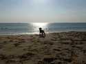 T8