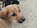 x2