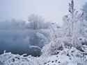 blauw 4