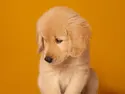 x9